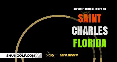 Golf Carts on Saint Charles, Florida: Rules and Regulations Explained