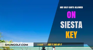 Golf Carts on Siesta Key: Rules, Regulations, and What You Need to Know