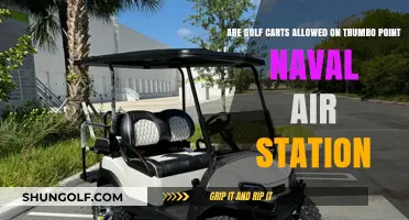 Golf Carts on Trumbo Point Naval Air Station: Rules and Regulations