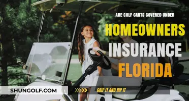 Are Golf Carts Covered Under Florida Homeowners Insurance Policies?