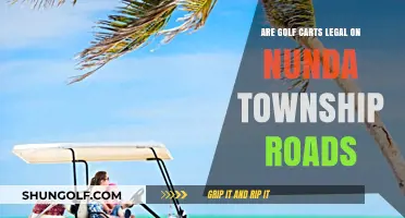 Golf Carts on Nunda Township Roads: Legal or Not?