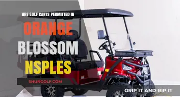 Golf Carts in Orange Blossom Naples: Are They Allowed?