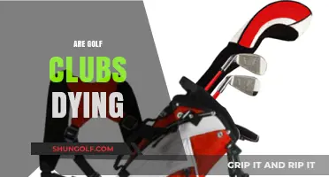 Are Golf Clubs Dying? Exploring the Future of Traditional Golfing Spaces
