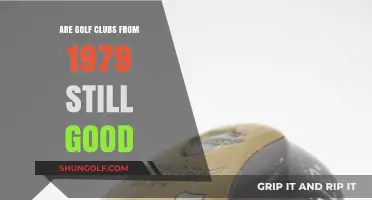 1979 Golf Clubs: Still Worthy of the Fairway Today?