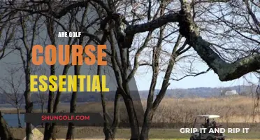 Are Golf Courses Essential? Exploring Their Value and Environmental Impact