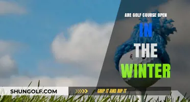 Winter Golfing: Are Courses Open During the Colder Months?