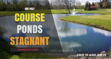 Are Golf Course Ponds Stagnant? Uncovering the Truth Behind the Water