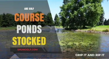 Are Golf Course Ponds Stocked? Exploring Aquatic Life on the Greens