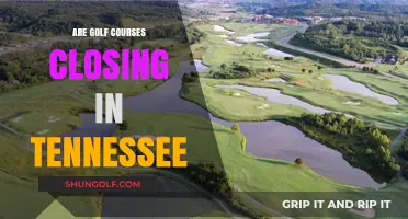 Are Tennessee Golf Courses Closing? Trends and Insights for Players