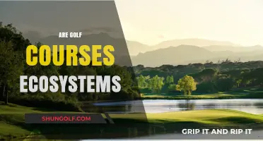 Golf Courses as Ecosystems: Biodiversity, Management, and Environmental Impact