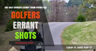 Golf Course Liability: Are They Exempt for Errant Shots?