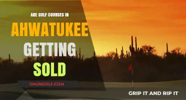 Ahwatukee Golf Courses: Potential Sales and Community Impact Explored