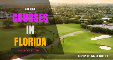 Exploring Florida's Golf Courses: Are They Worth the Hype?