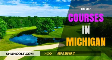 Exploring Michigan's Golf Courses: Locations, Features, and Accessibility