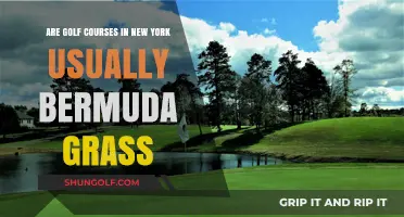 Are New York Golf Courses Typically Bermuda Grass? Find Out