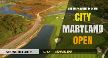 Ocean City Maryland Golf Courses: Current Openings and Availability