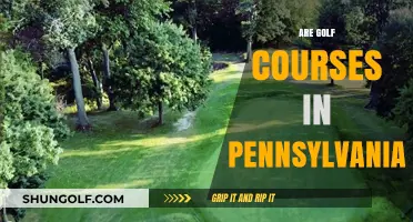 Exploring Pennsylvania's Golf Courses: A Guide to Greens and Fairways