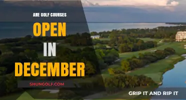 December Golfing: Are Courses Open During the Holiday Season?