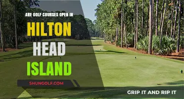 Hilton Head Island Golf Courses: Current Openings and Updates