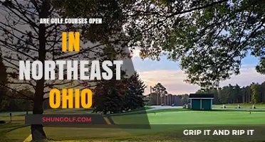 Northeast Ohio Golf Courses: Current Openings and Seasonal Updates