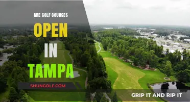 Are Tampa Golf Courses Open? Current Status and Updates