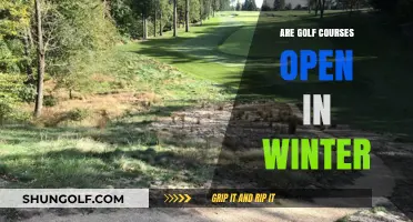 Winter Golfing: Are Courses Open During the Colder Months?