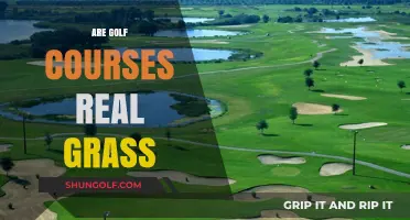Are Golf Courses Real Grass? Uncovering the Truth Behind the Greens