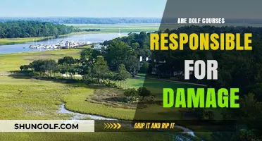 Golf Courses and Environmental Damage: Who's Really Responsible?