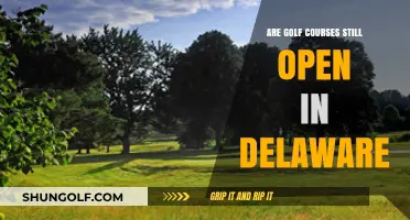 Delaware Golf Courses: Current Status and Open Play Opportunities