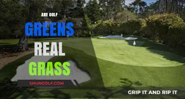 Golf Greens: Real Grass or Artificial Turf?