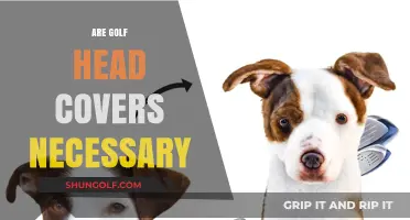 Golf Head Covers: Necessary or Not?