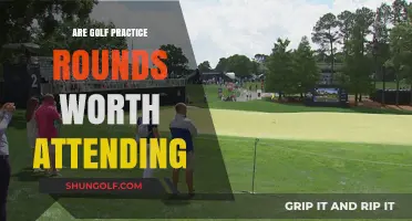 Practice Rounds: Do Pros Need Them?