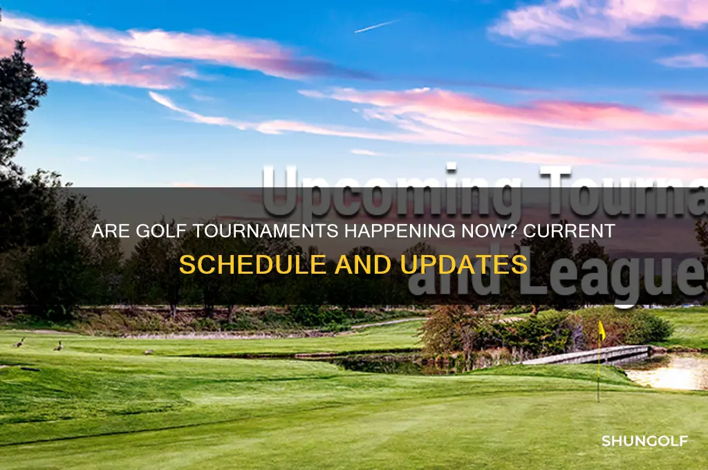 are golf tournaments being played