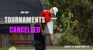 Golf Tournaments in Limbo: The Uncertain Future of the Sport
