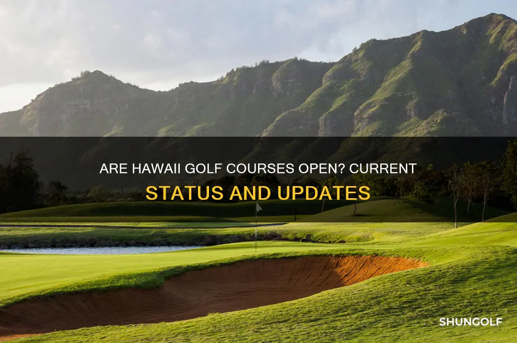 are hawaii golf courses open