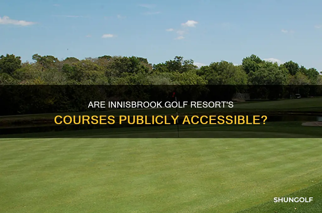 are innisbrook golf resort golf courses open to the public