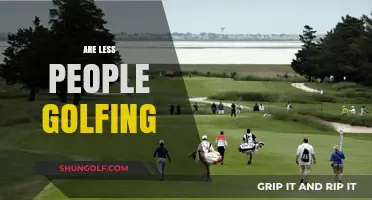 Golf's Decline: Why Are Fewer People Playing?