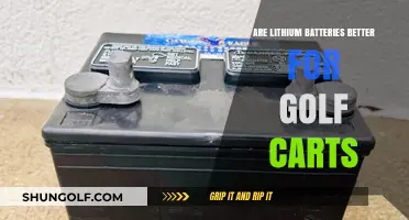 Lithium vs Lead-Acid: Which Battery Powers Golf Carts Better?