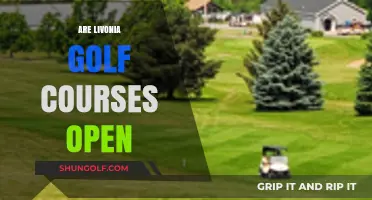 Are Livonia Golf Courses Open? Current Status and Updates