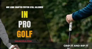 The Evolution of Golf Equipment: Are Long Shafted Putters Still in Play?