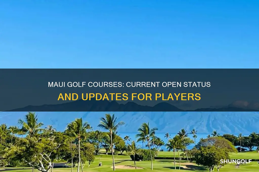 are maui golf courses open