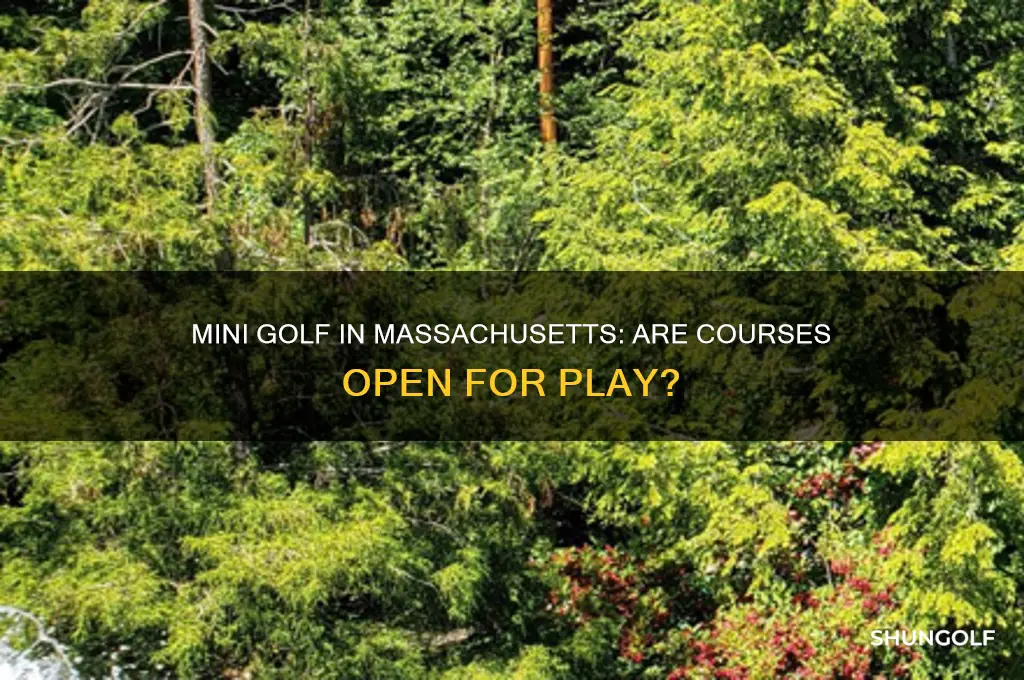 are mini golf courses open in massachusetts