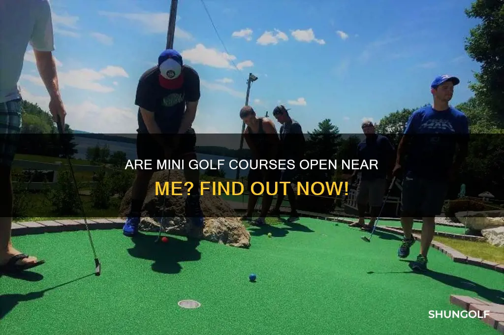are mini golf courses open