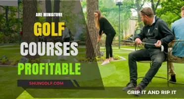 Miniature Golf Courses: A Profitable Business Venture or Not?