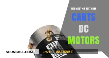 Are 48 Volt Golf Carts Typically Powered by DC Motors?