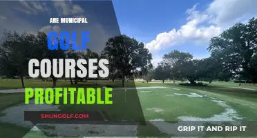 Are Municipal Golf Courses Profitable? Exploring Financial Viability and Community Impact