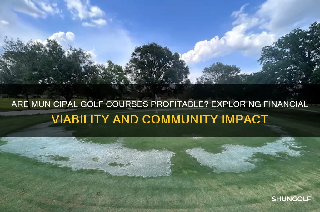 are municipal golf courses profitable