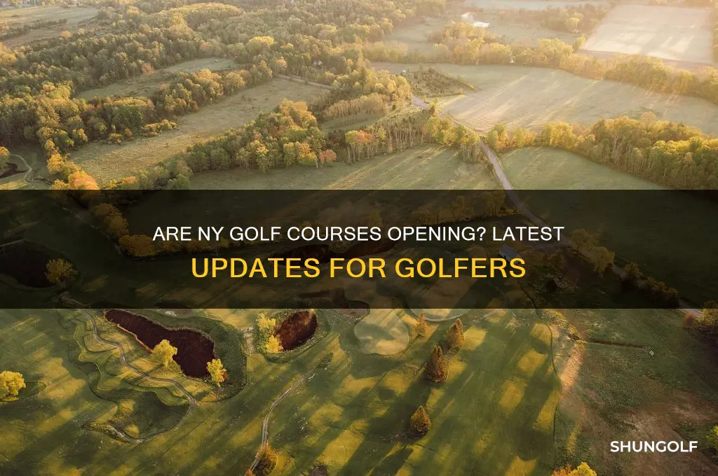 are ny golf courses opening