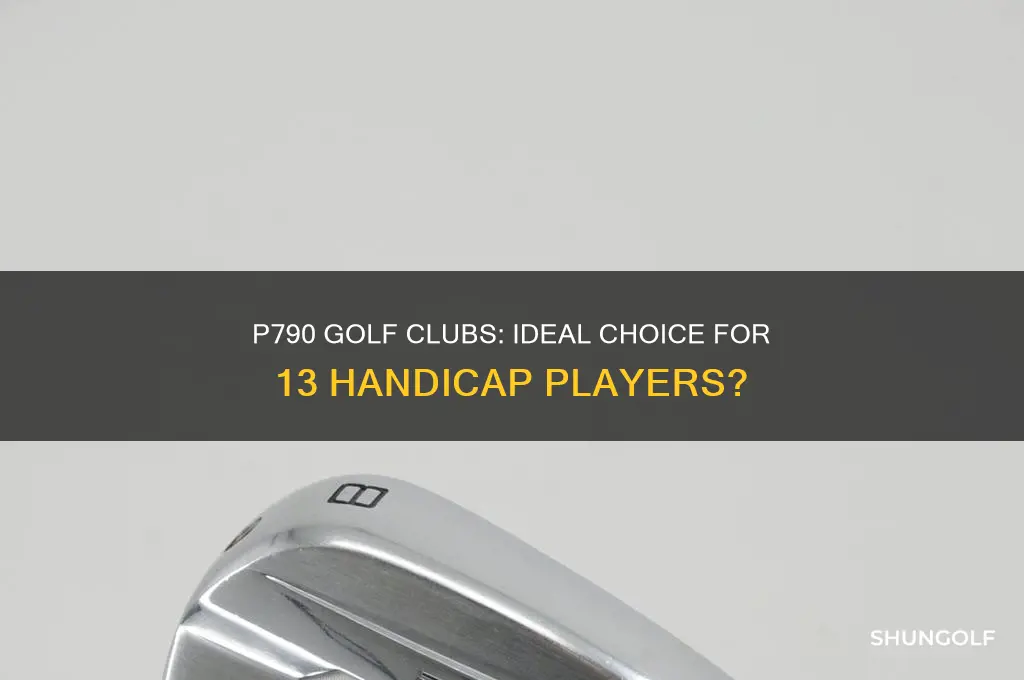 are p790 golf clubs good for a 13 handicap
