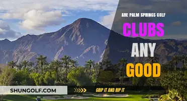 Palm Springs Golf Clubs: Quality, Performance, and Value Reviewed